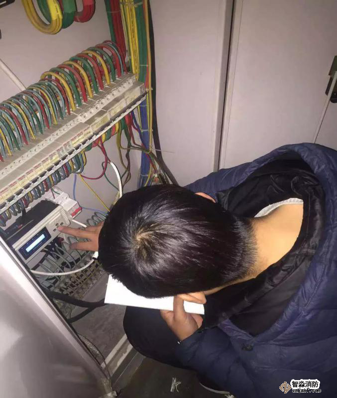 香港公开免费资料大全