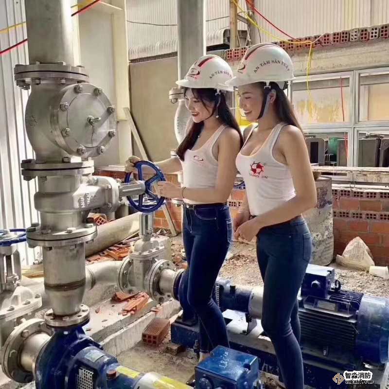 香港公开免费资料大全